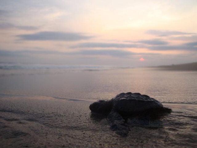  Landscapes of Oaxaca 